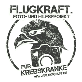 flugkragt_logo_1